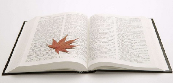 核心期刊遴选是什么意思